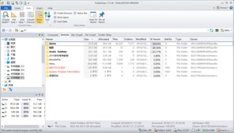 精耕細作 現代計算機軟件開發與精品軟件管理之道