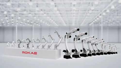 珞石機器人完成超5億元戰略融資，順為系網絡技術服務助力新一代智能機器人發展