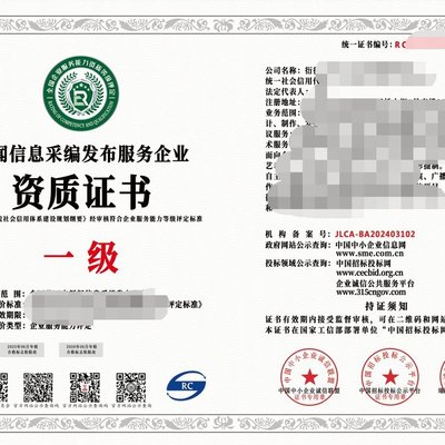 2024年互聯網新聞信息服務企業資質（一級）與信息技術咨詢服務 行業標準、價值與戰略協同